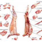 Whole Lamb (Pre-Cut)